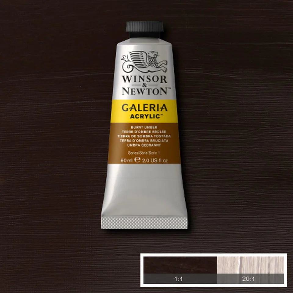 Winsor&Newton Galeria Burnt Umber 60 ml 076