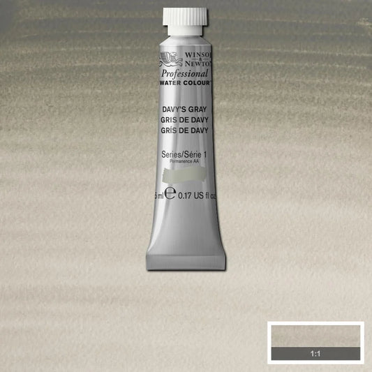 Winsor&Newton Professional Watercolour Davy's Gray 217 5 ml
