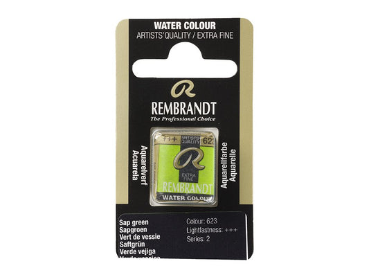 Rembrandt Sap Green 623 Halfpan